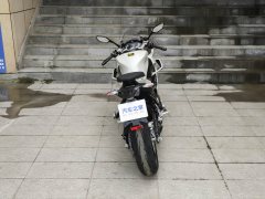 QJMOTOR 550 - фото 9