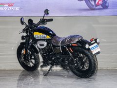 Cyclone RA2 250 cc - фото 6