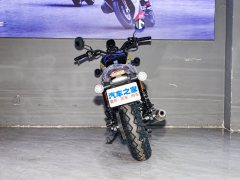 Cyclone RA2 250 cc - фото 7