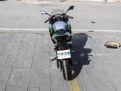 Kawasaki Ninja e-1 - фото 9