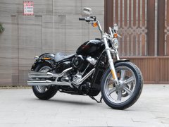 Harley-Davidson Softail Standard 1750 cc - фото 12