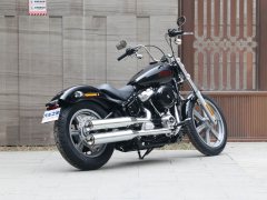 Harley-Davidson Softail Standard 1750 cc - фото 7