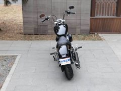Harley-Davidson Softail Standard 1750 cc - фото 9