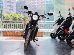 QJMOTOR 250 - фото 2