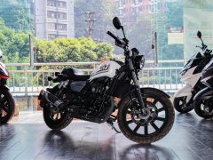 QJMOTOR 250 - фото 3