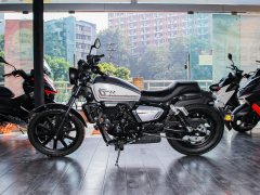 QJMOTOR 250 - фото 4