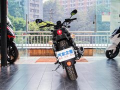 QJMOTOR 250 - фото 7
