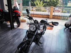 QJMOTOR 250 - фото 9