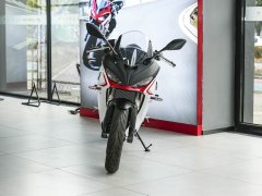 QJMOTOR 250 - фото 2