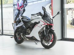 QJMOTOR 250 - фото 3