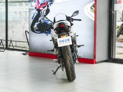 QJMOTOR 250 - фото 6