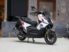 Cyclone RT2 250 cc - фото 3
