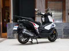 Cyclone RT2 250 cc - фото 7