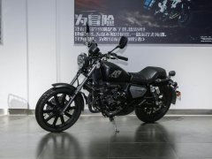 QJMOTOR 202 200 cc - фото 1