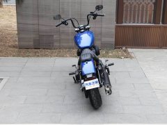 Harley-Davidson Street Bob 1870 cc - фото 9