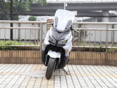 Xiaxinsanyang Joymax Z 300 - фото 10