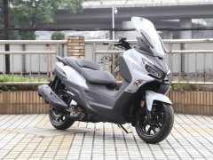 Xiaxinsanyang Joymax Z 300 - фото 11