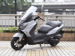 Xiaxinsanyang Joymax Z 300 - фото 9