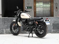 Cyclone RA250 - фото 5