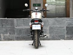 Cyclone RA250 - фото 6