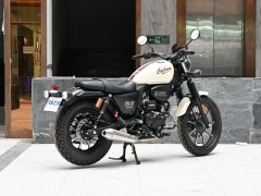 Cyclone RA250 - фото 7
