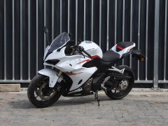 QJMOTOR 450 - фото 1