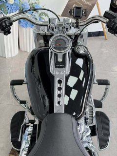 Harley-Davidson Fat Boy 1923 cc - фото 6