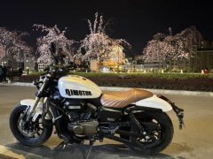QJMOTOR 300 - фото 2