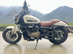 QJMOTOR 300 - фото 3