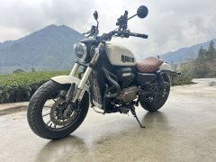 QJMOTOR 300 - фото 4