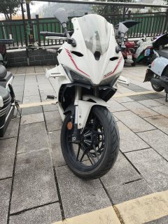 Cyclone RC250 - фото 1