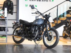 Kawasaki W800 - фото 12