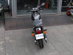 Kawasaki W800 - фото 9