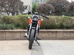 QJMOTOR 150 - фото 10