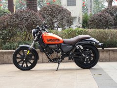 QJMOTOR 150 - фото 12