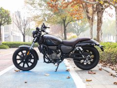 QJMOTOR 150 - фото 4