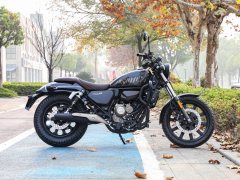 QJMOTOR 150 - фото 5