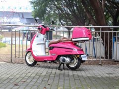 Nanfnag 250 cc - фото 4