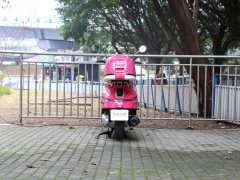 Nanfnag 250 cc - фото 6