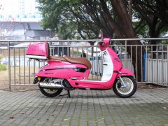 Nanfnag 250 cc - фото 8