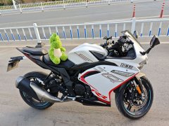 Voge 300RR - фото 3