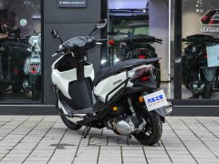 QJMOTOR 150RS - фото 5