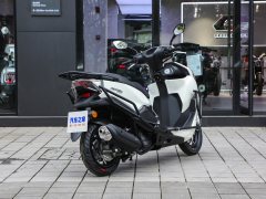 QJMOTOR 150RS - фото 7