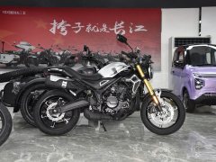 Voge 350AC 320 cc - фото 8