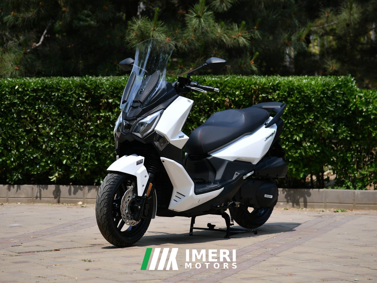 2022 Xiaxinsanyang Joymax F 300