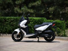 Xiaxinsanyang Joymax F 300 - фото 3