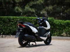 Xiaxinsanyang Joymax F 300 - фото 6