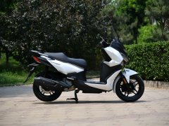 Xiaxinsanyang Joymax F 300 - фото 7