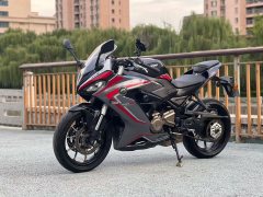 QJMOTOR 400 - фото 4