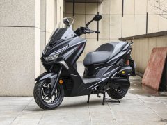 QJMOTOR 250 - фото 10